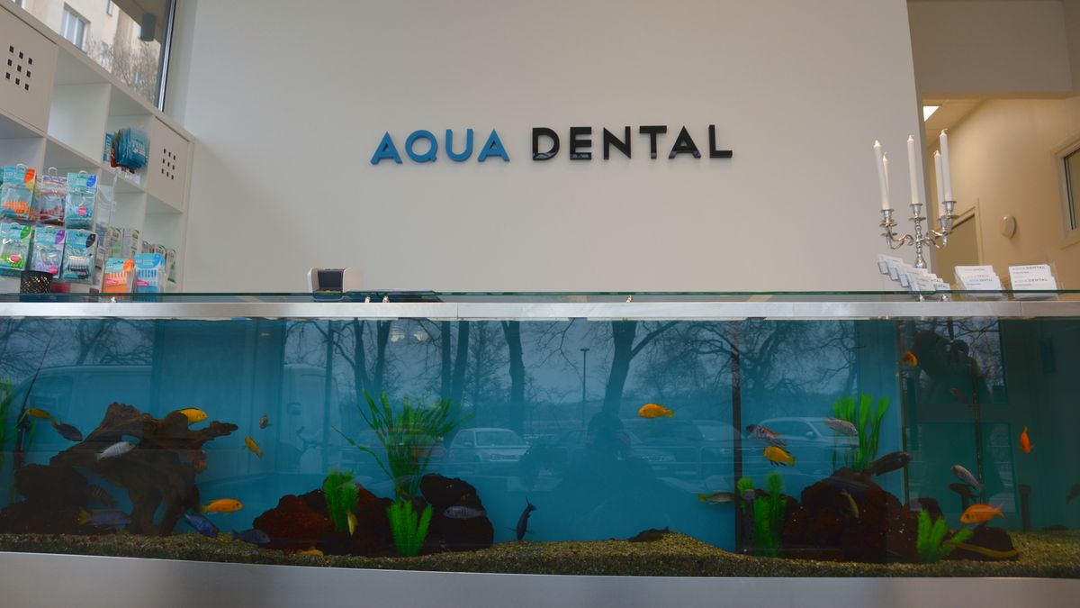 Aqua dental