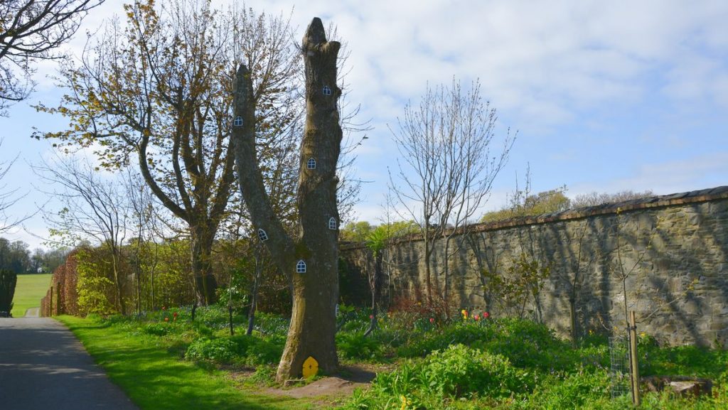Ardgillan castle Ireland