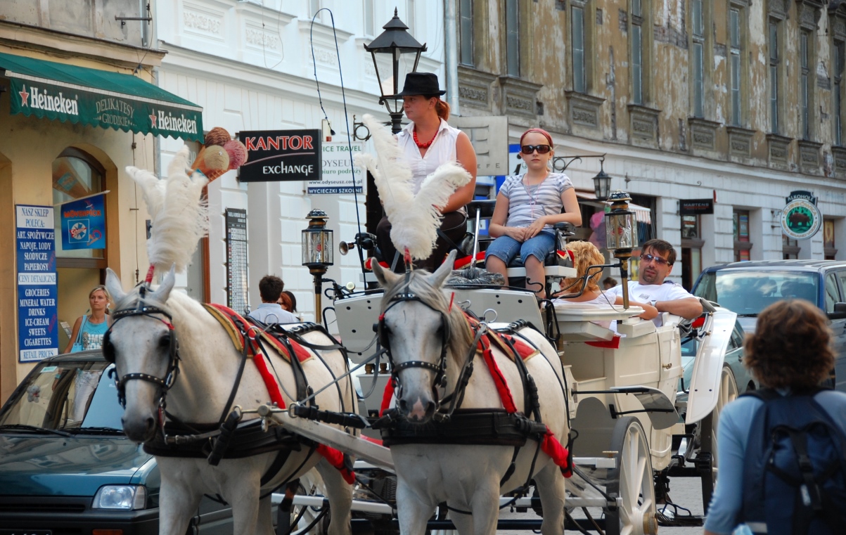 Hästar i Krakow