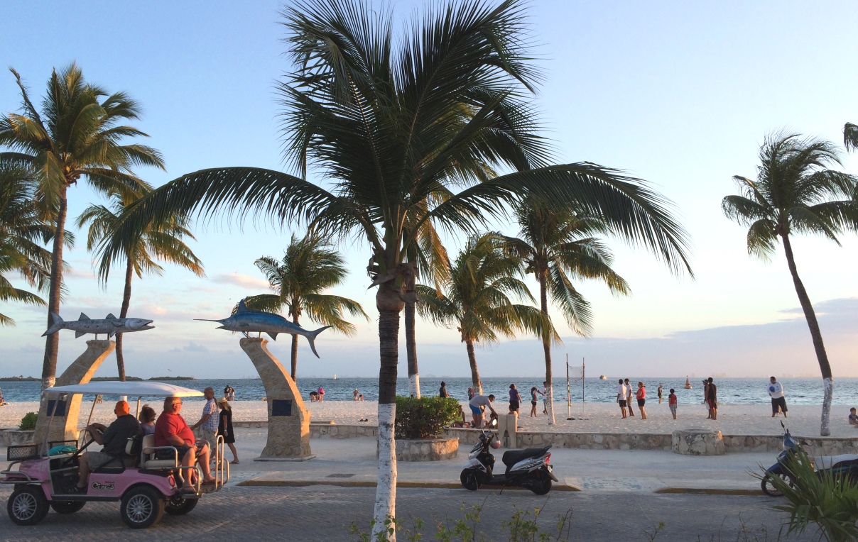Strand med palmer
