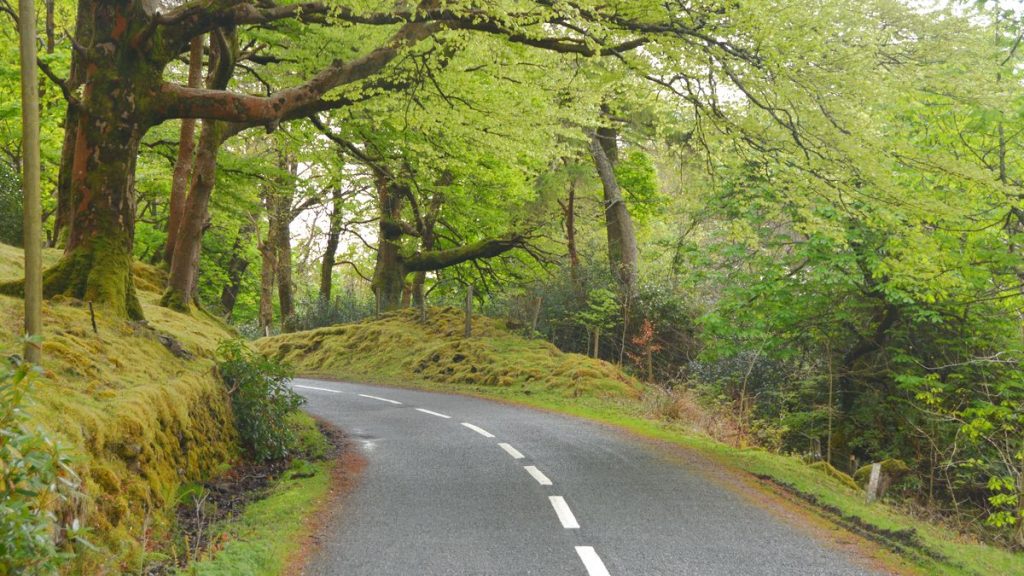 Irland vägar