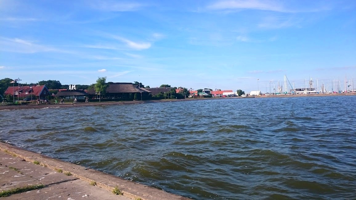 Kuriska näset