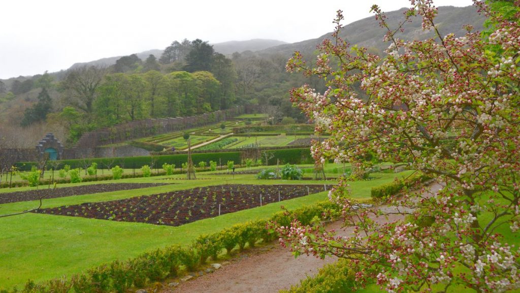 Kylemore abbey viktoriansk trädgård
