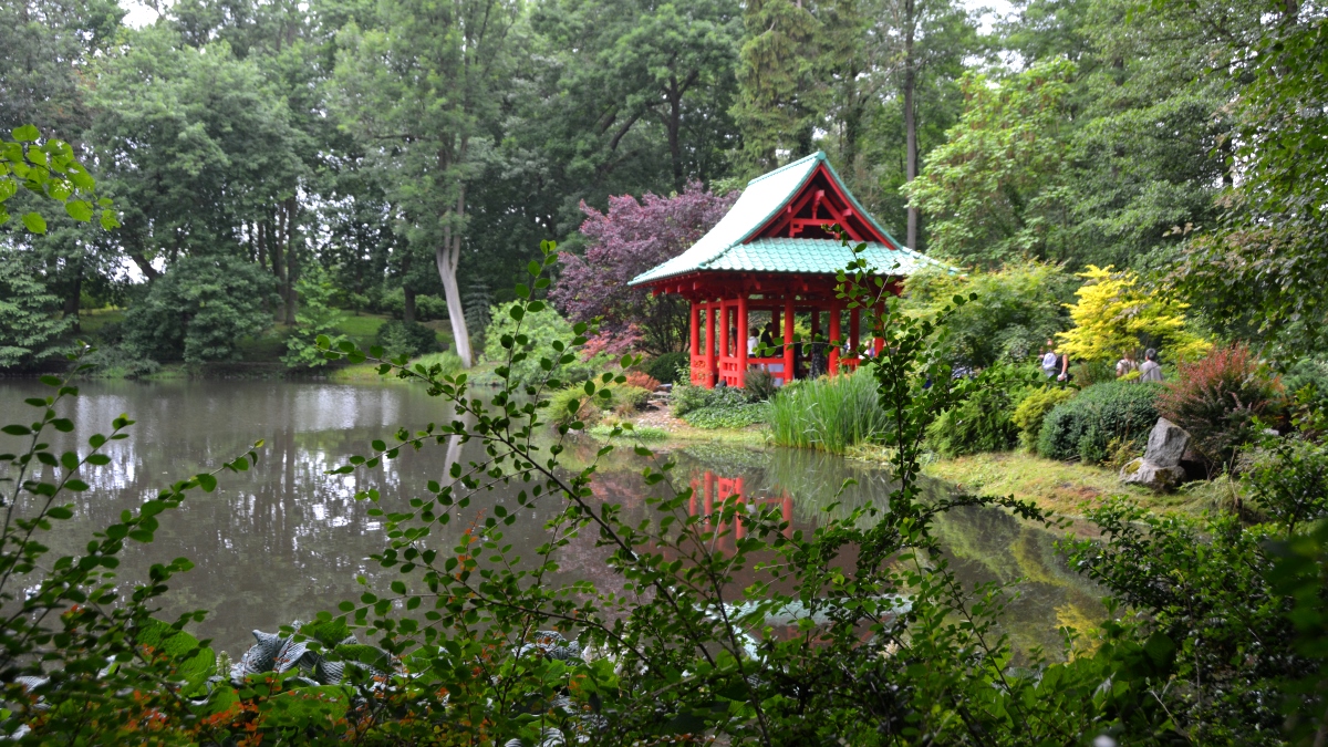 Kinahus i parken i Mierzecin