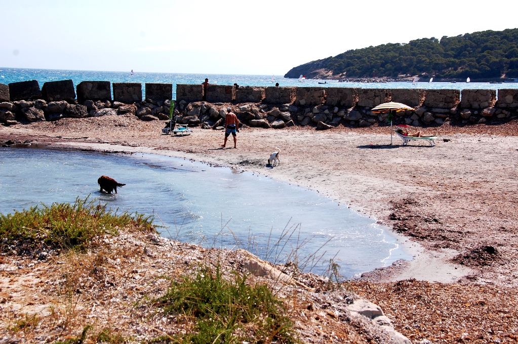 Det finns till och med en egen liten strand enbart för hundar och deras hussar och mattar