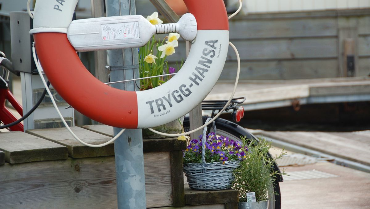 Påskblommor