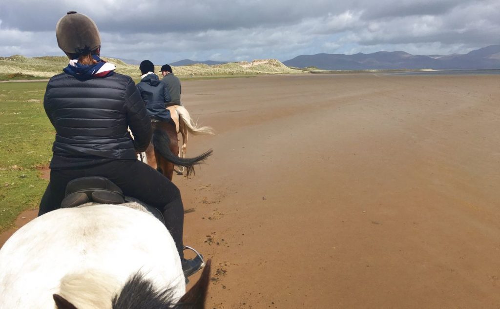 Rida häst på Irland