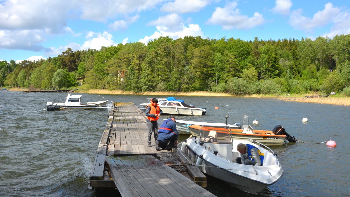 Ringsö i Mälaren