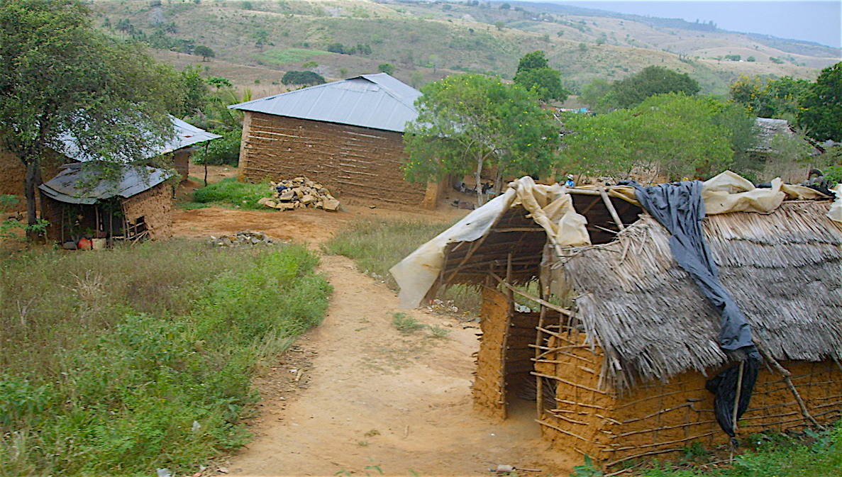 Hus i Afrika