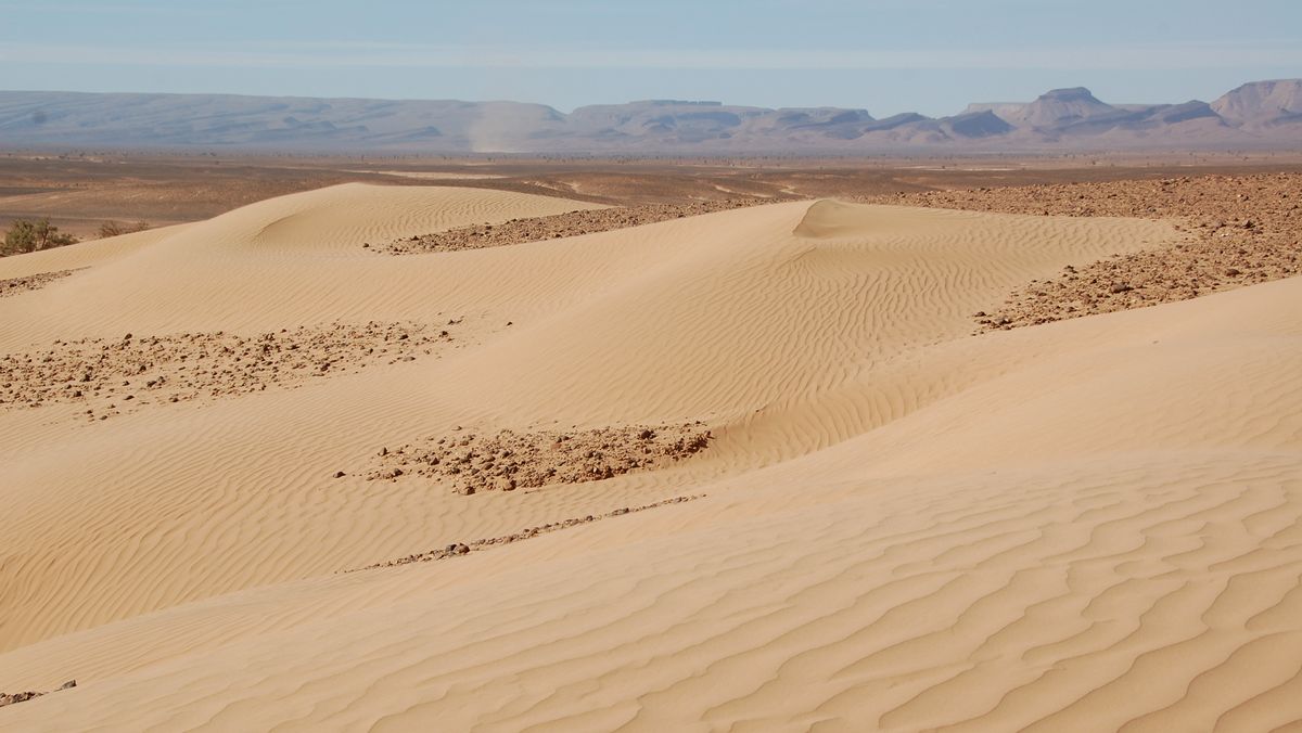 Sahara Marocko