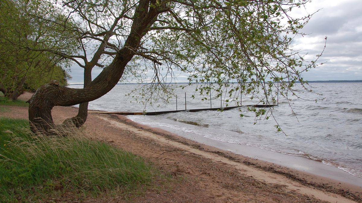 Sandvik Linköping
