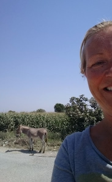 Selfie med åsna