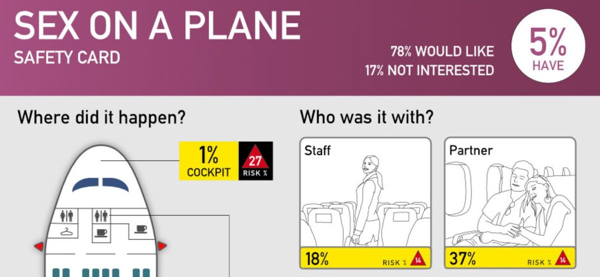 Sex on plane