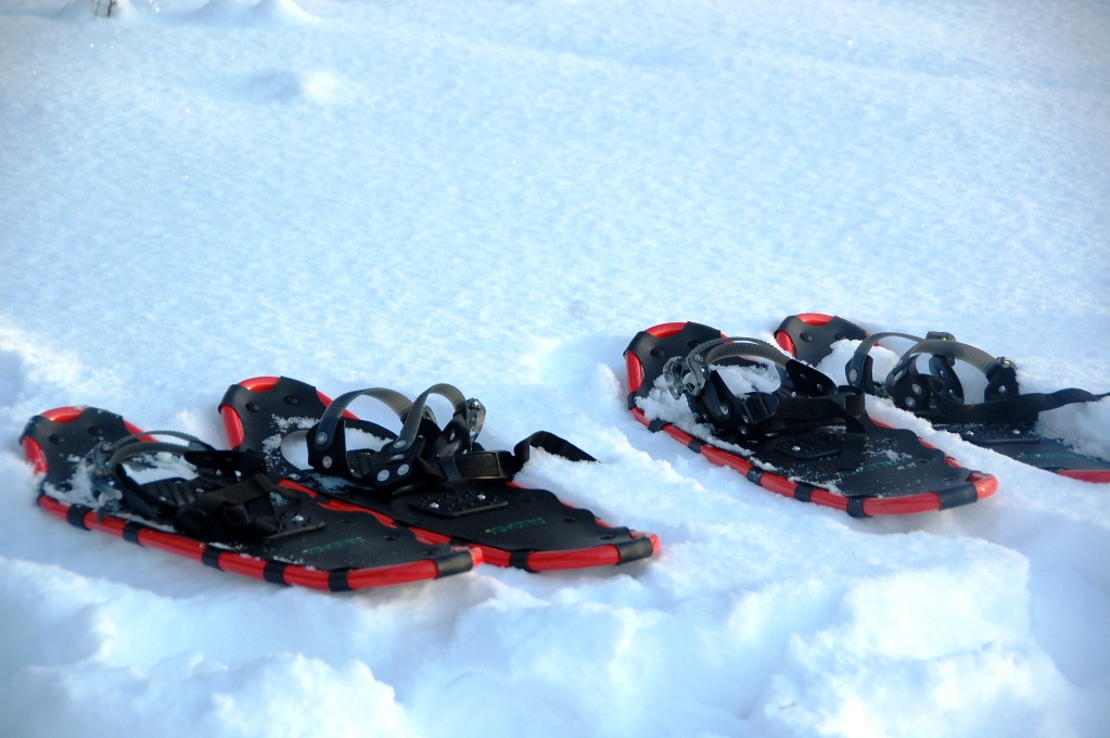 Promenad i snöskor, någon?