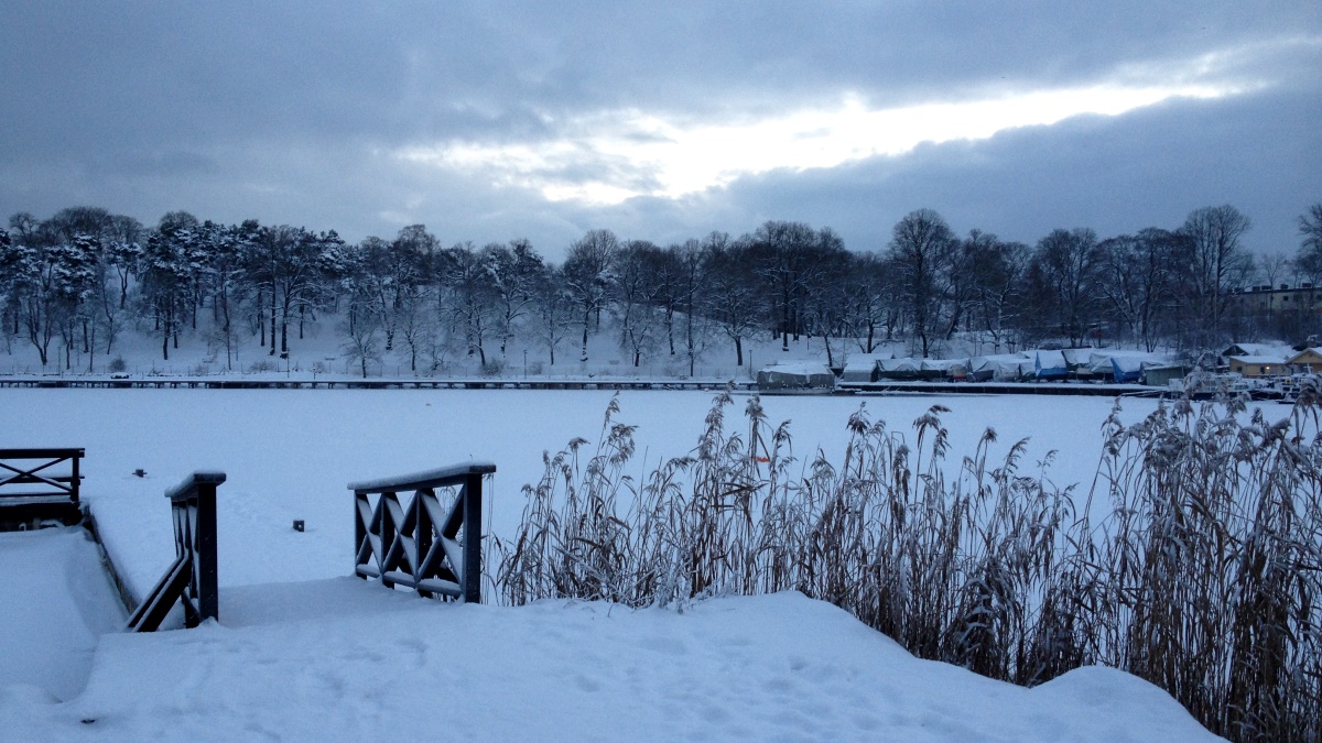 Utsikt över Brunnsviken