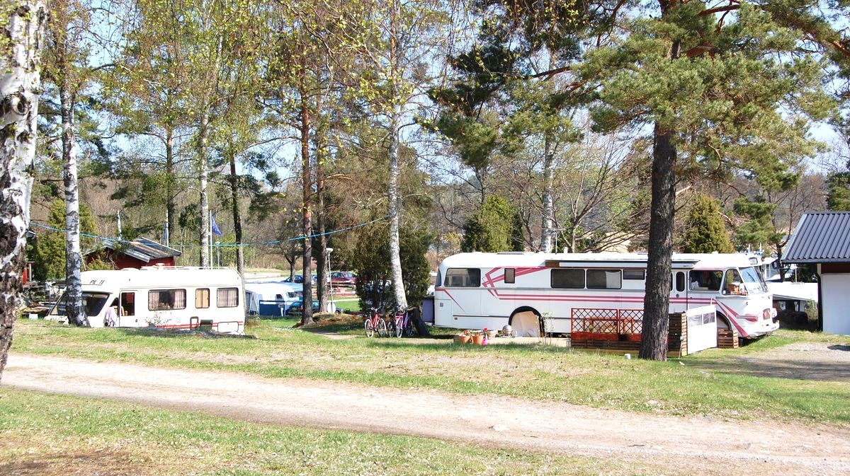 Fler husbilar och husbussar på campingen