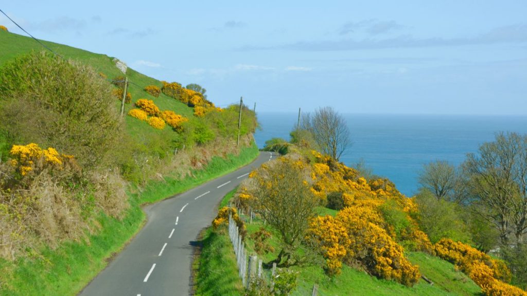 Väg Irland