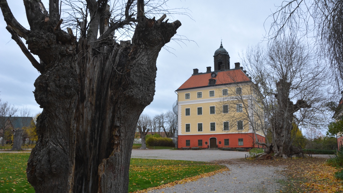 Västerås Ängsö slott