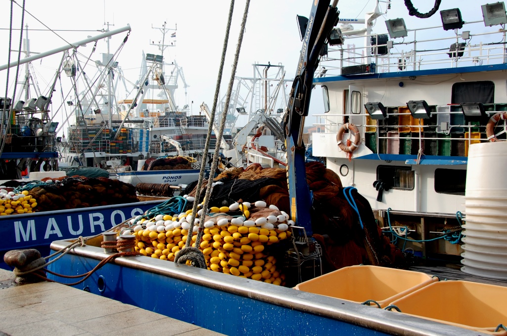 Fiskebåtar i hamnen i Pula