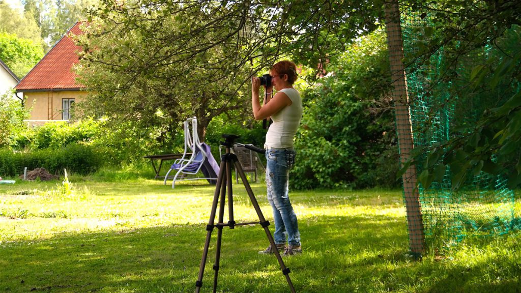 Fotografering i trädgården