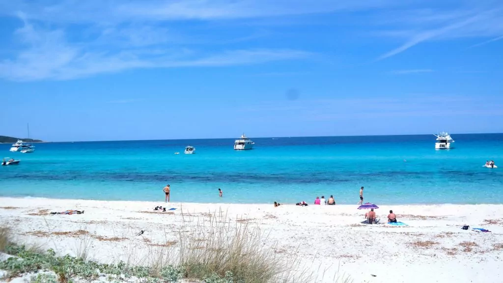 Korsika Saleccia beach