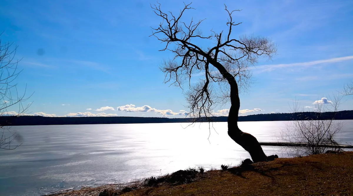 Sverige, Sigtuna