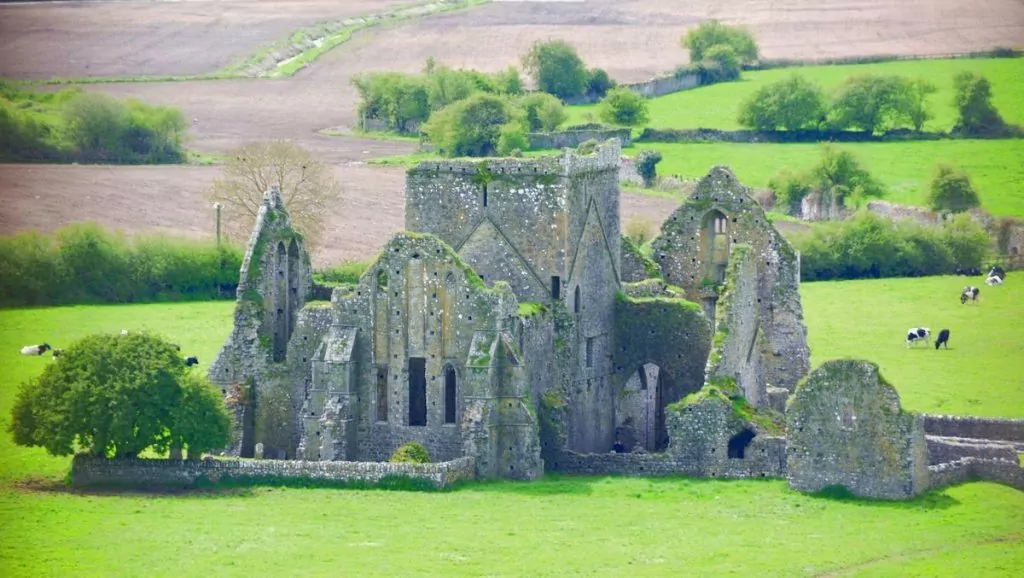 Hore Abbey