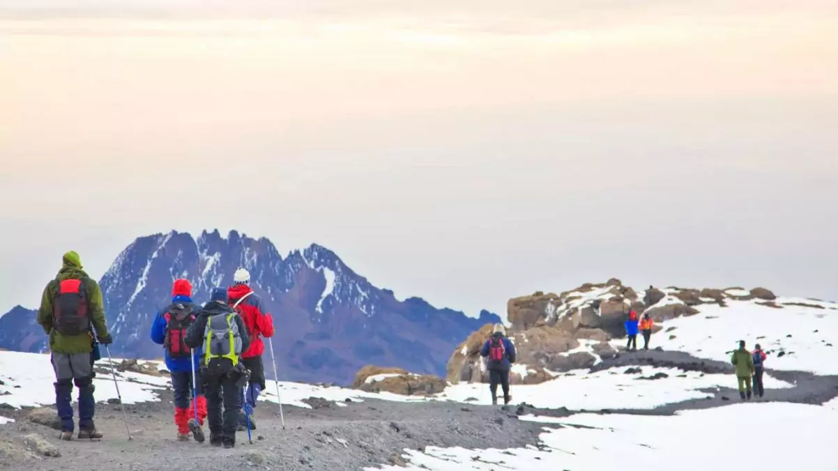 Bestiga Kilimanjaro