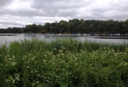 Brunnsviken
