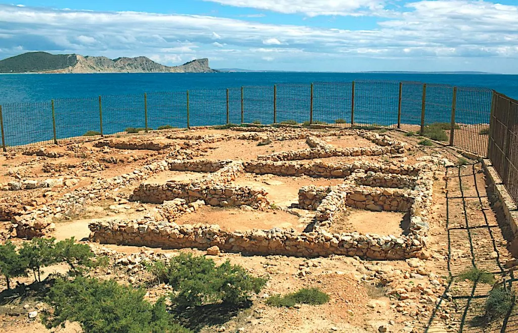 Fenicio de sa Caleta 