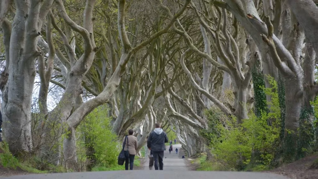 Dark hedges Northern Ireland