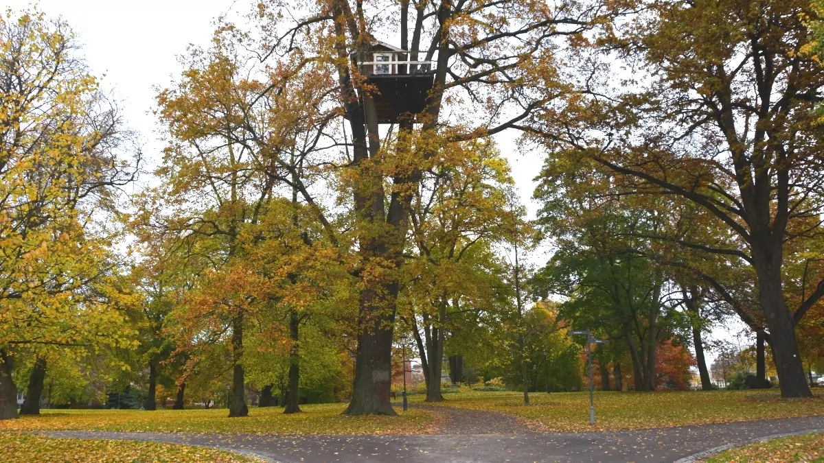 Hotell Hackspett i Vasaparken