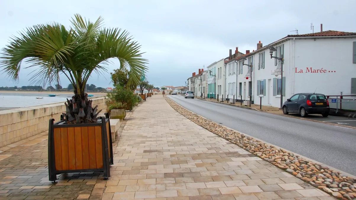 Ile de ré i Frankrike