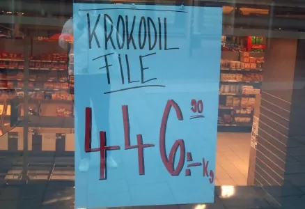 Krokodilfilé