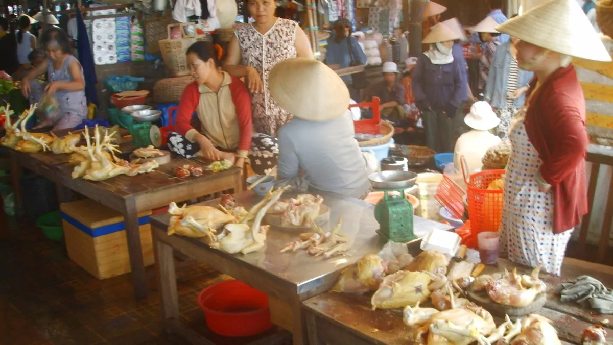 Marknad Hoi An