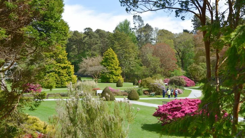 Muckross garden