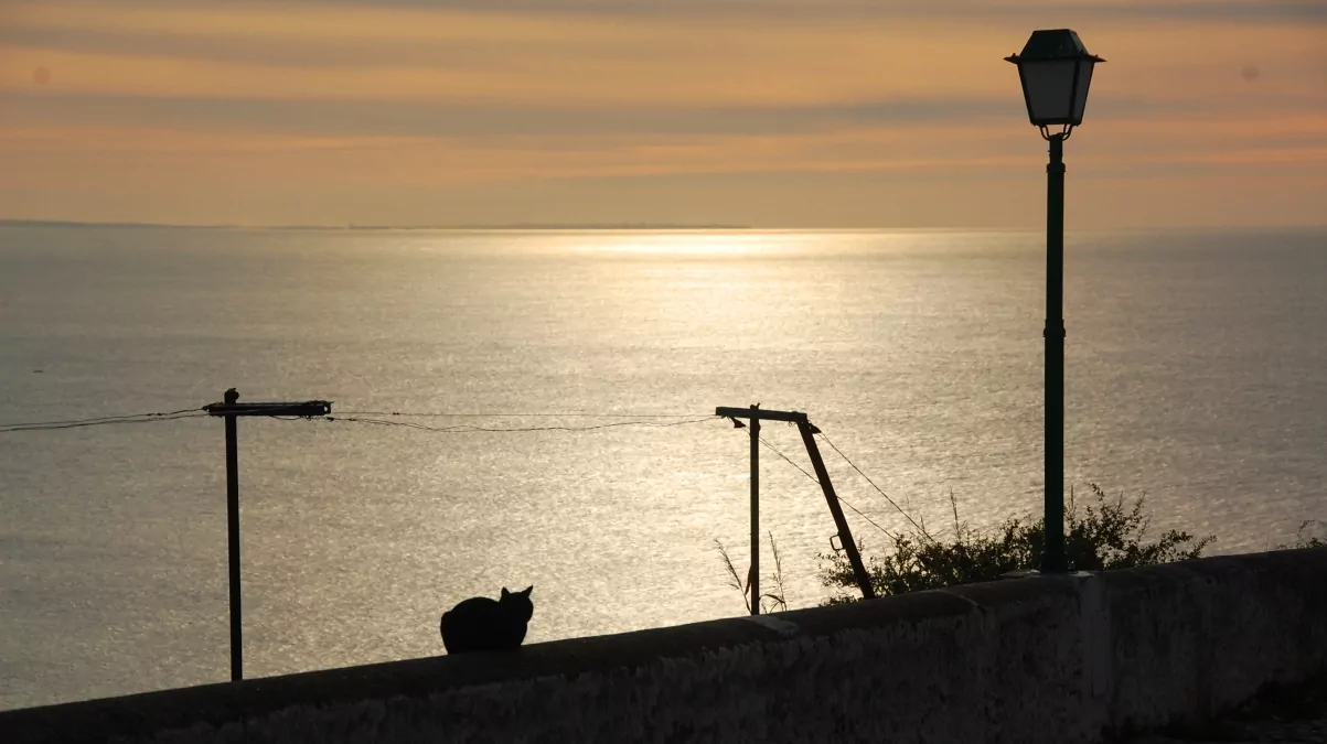 Nazaré