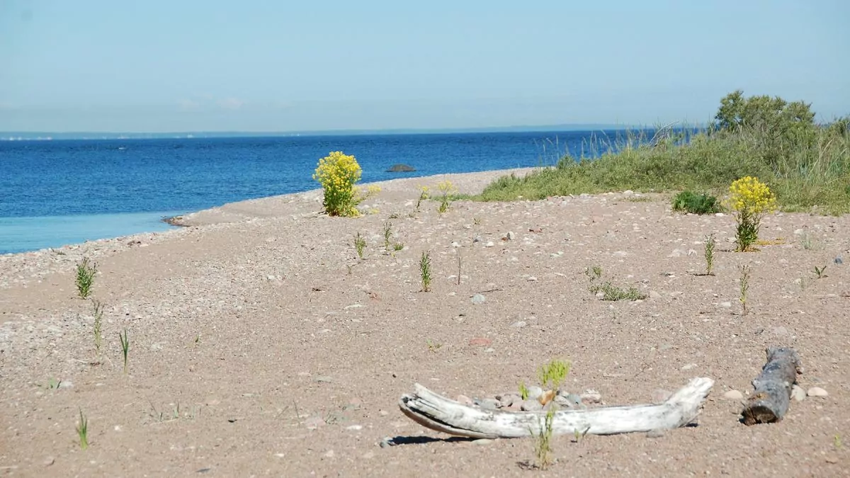 Rullsand strand och camping