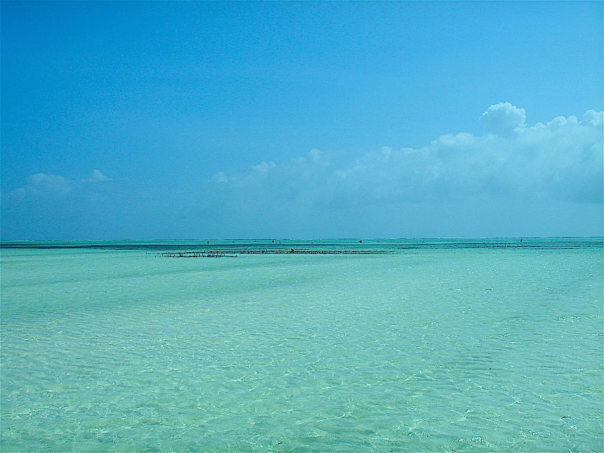 Tanzania, Zanzibar