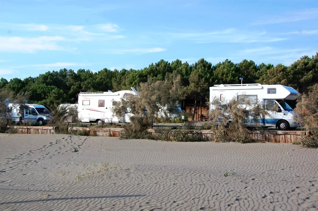 Husbilarna på Safari camping står precis vid stranden