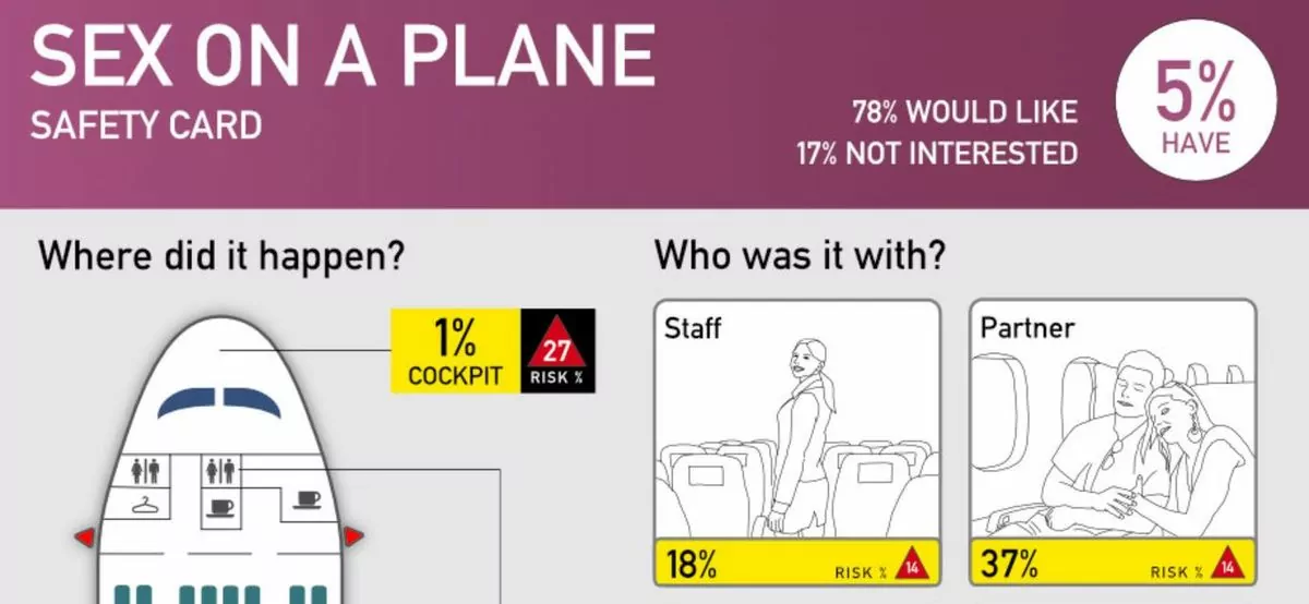 Sex on plane