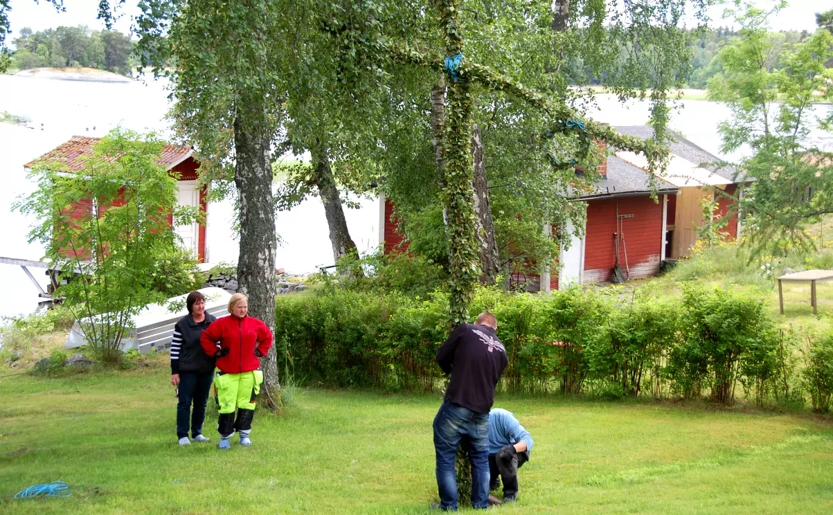 Svenskt midsommarfirande