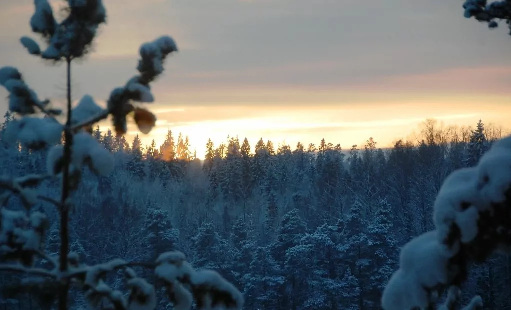 Vinter Finland