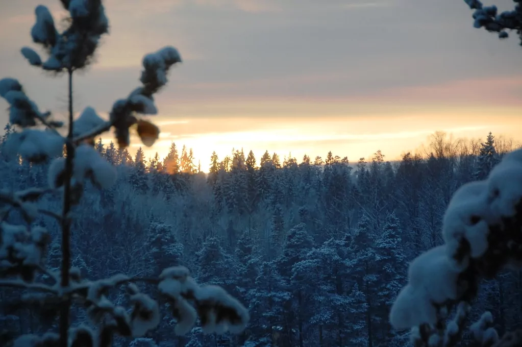 När vi tittade ut genom fönstren såg vi hur solen sjönk över träden