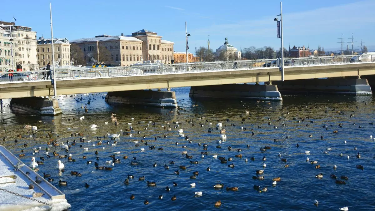 Vinter i Stockholm