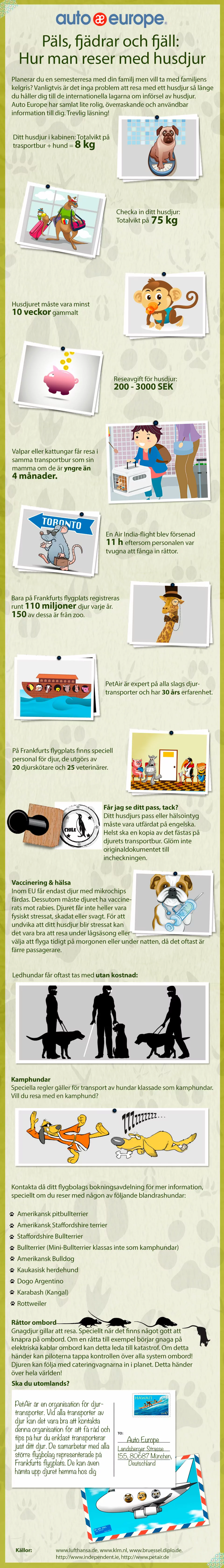 Infographic pets