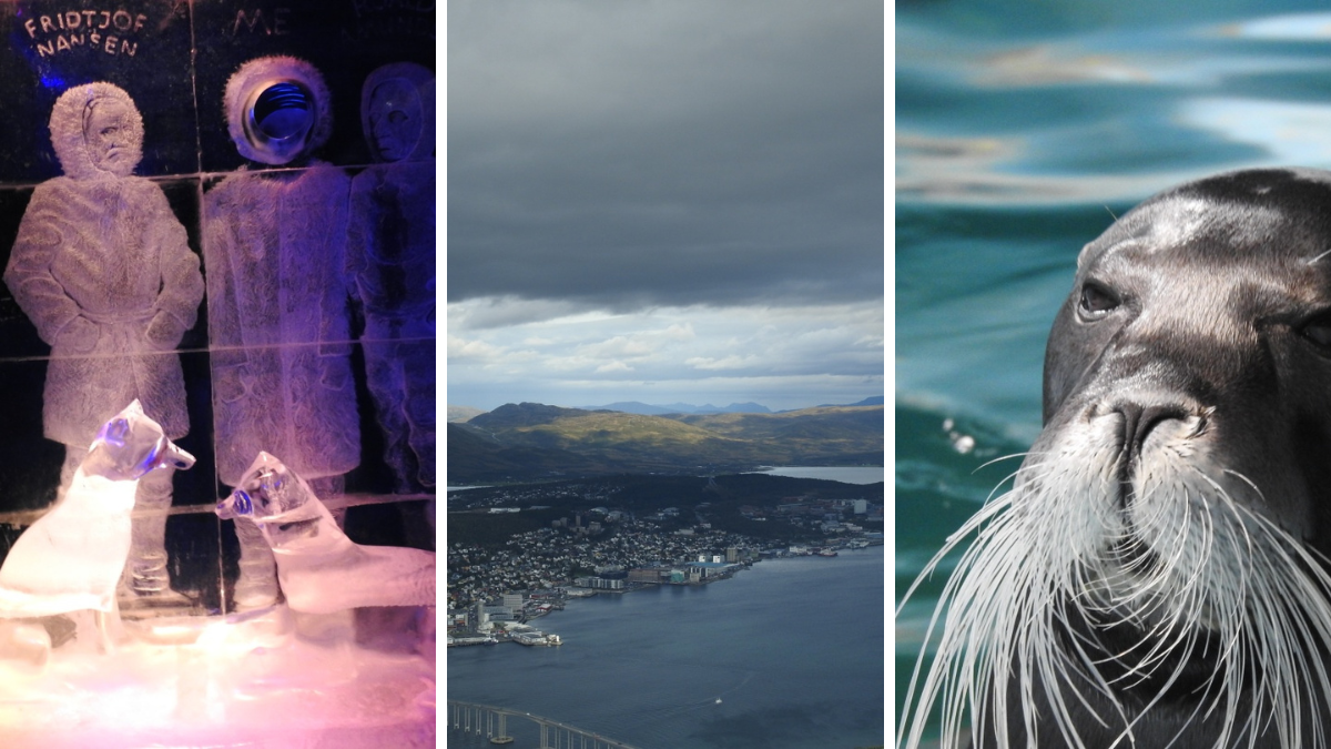 Tronsø Tromsö i Norge - Tant Anna och 50 nyanser av grått | FREEDOMtravel