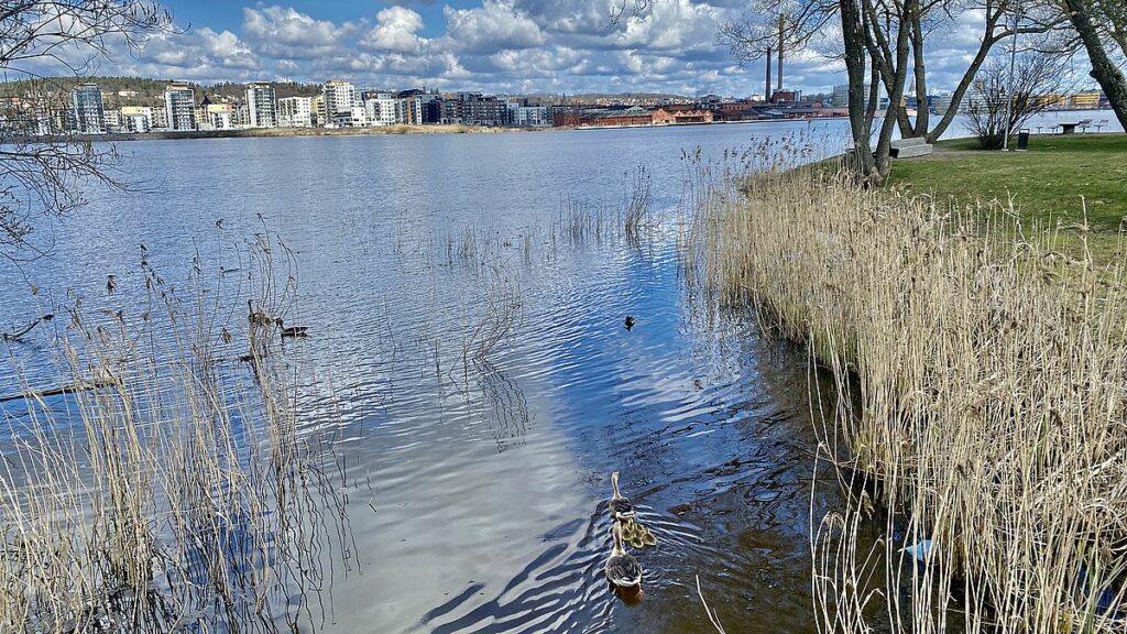 Göra i Småland