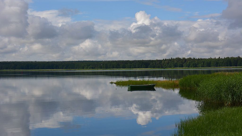 Vergi i Lahemaa nationalpark i Estland