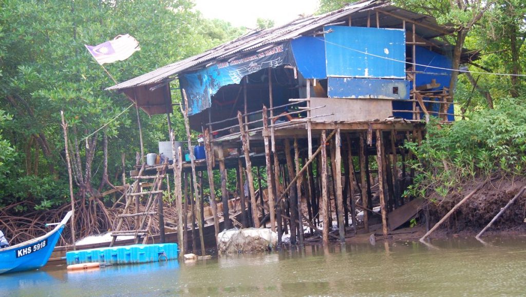 Hus på vatten, Mangrove båttur